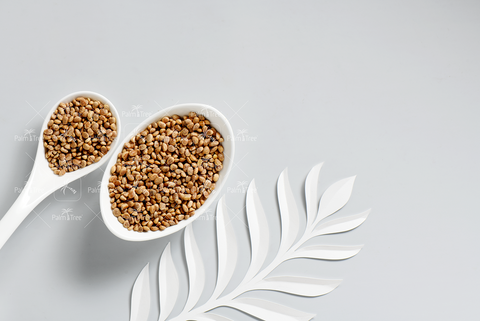 Chironji / Charoli Seeds