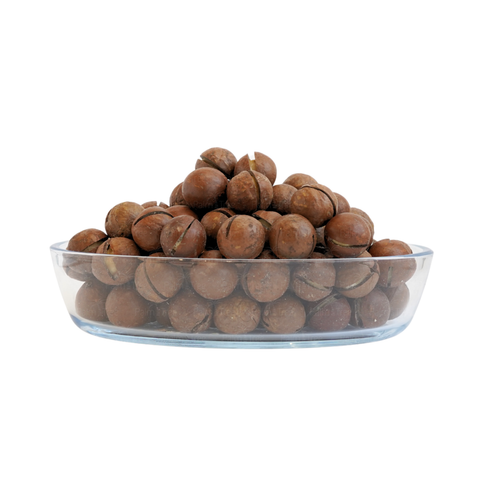 Macadamia With Shell